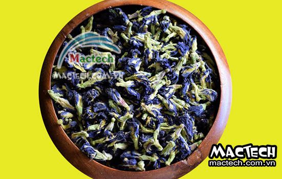 Thời gian sấy hoa đậu biếc bằng máy sấy nhiệt, sấy lạnh, sấy đông khô