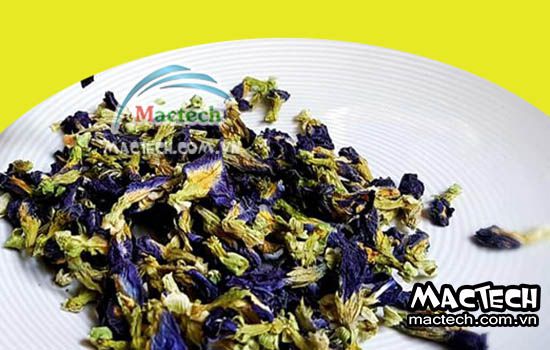 Thời gian sấy hoa đậu biếc bằng máy sấy nhiệt, sấy lạnh, sấy đông khô