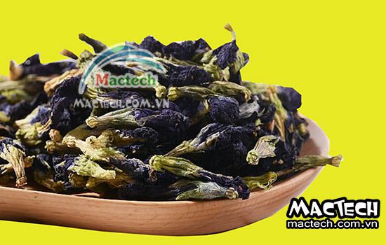 Cách sấy hoa đậu biếc bằng máy sấy Mactech cho hiệu quả cao