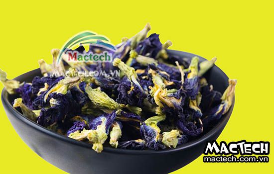 Hoa đậu biếc sấy lâu khô, nguyên nhân và hướng khắc phục