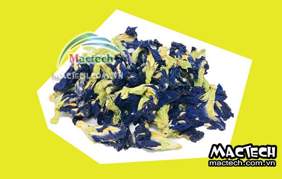 Hoa đậu biếc sấy bị đen, nguyên nhân + hướng khắc phục xử lý