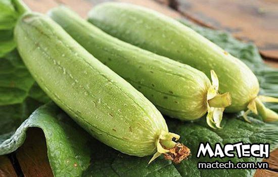 máy sấy khô quả mướp