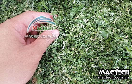 Lá nếp có nên sấy thăng hoa không, lý do tại sao lại như vậy