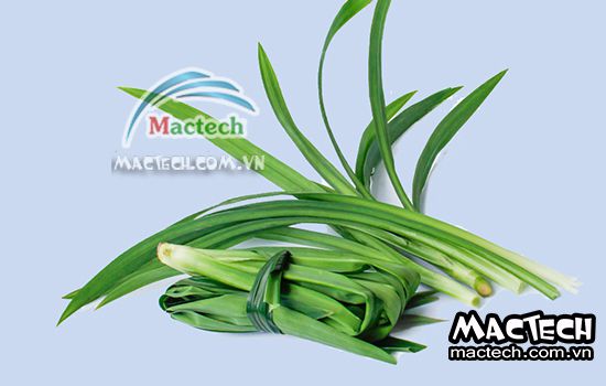 Thời gian sấy lá nếp bằng máy sấy tủ sấy Mactech như thế nào