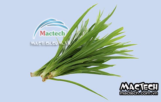 Thời gian sấy lá nếp bằng máy sấy tủ sấy Mactech như thế nào