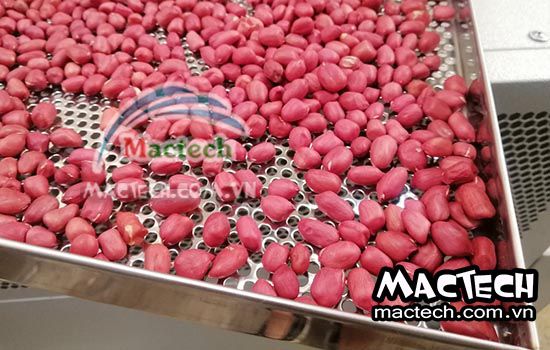 Những điều thú vị về lạc rang sẵn không phải ai cũng biết