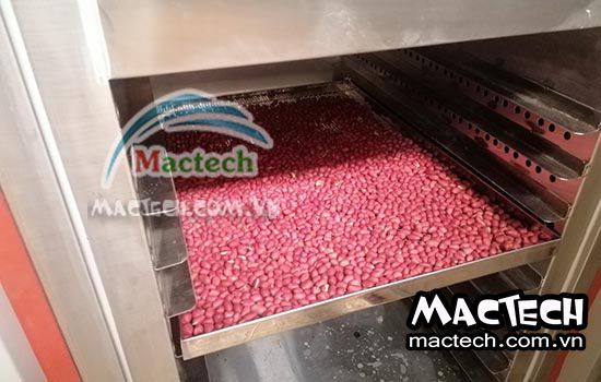 Những điều thú vị về lạc rang sẵn không phải ai cũng biết