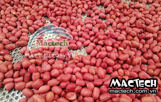 Lạc sấy chín giòn ngon hơn hay lạc rang chín giòn ngon hơn