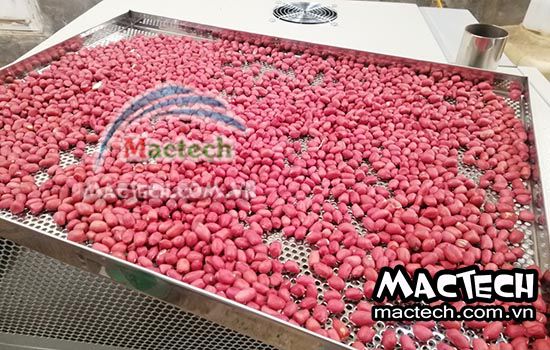 Lạc sấy chín giòn ngon hơn hay lạc rang chín giòn ngon hơn