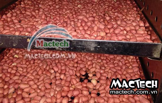 Đậu phộng sấy thăng hoa, có nên sấy thăng hoa đậu phộng hay không