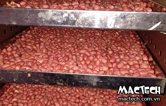 Máy sấy lạc (đậu phộng) Mactech, sấy khô, sấy chín năng suất cao
