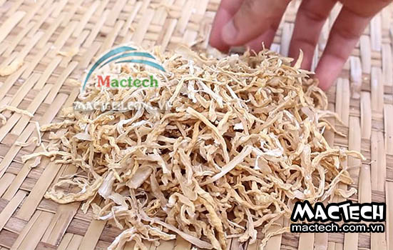 Máy sấy lạnh củ cải Mactech, sấy khô chất lượng cao ở nhiệt độ thấp