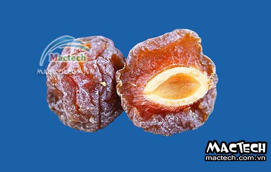 Máy sấy mận dẻo Mactech