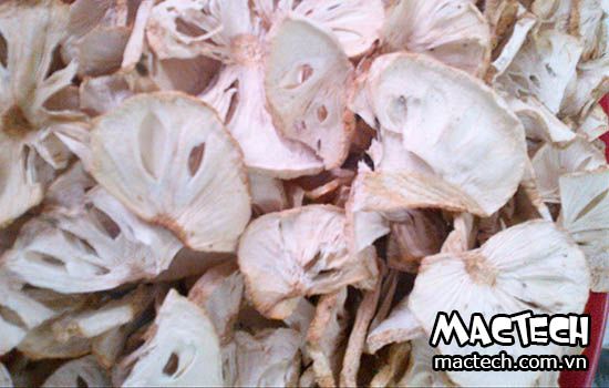 Máy sấy mãng cầu