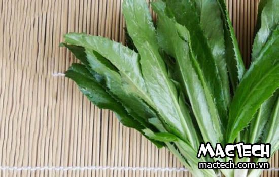 máy sấy mùi tàu