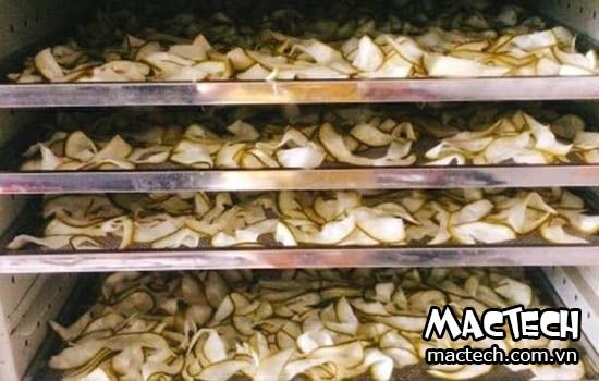 máy sấy mứt cùi bưởi