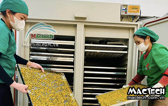 Tăng hiệu quả kinh doanh với máy sấy nông sản chất lượng cao