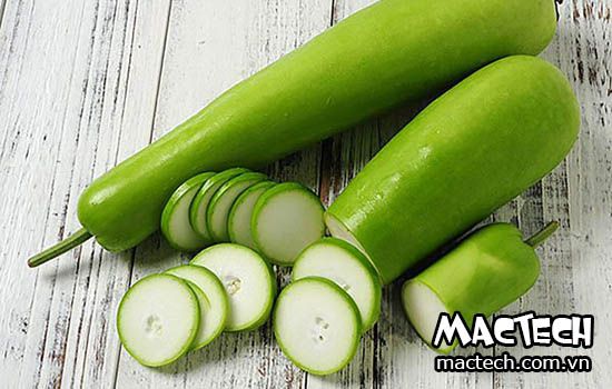 Máy sấy quả bầu Mactech, sấy khô đều, khô nhanh, tiết kiệm điện