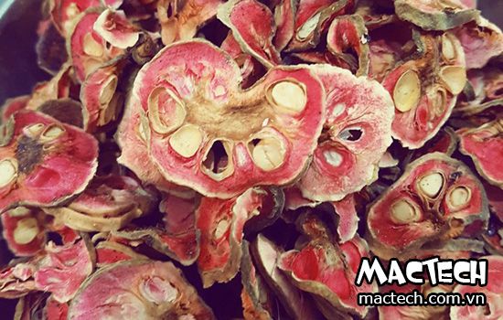 máy sấy quả chay