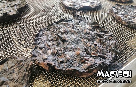 Máy sấy quả đào tiên