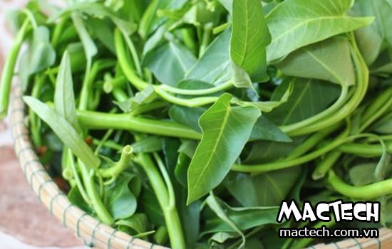 máy sấy rau muống