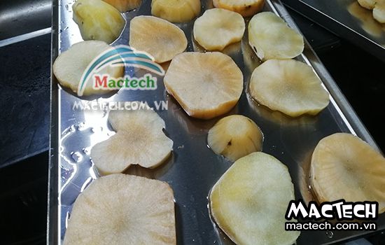 Sấy sâm khoai nên chọn loại máy sấy nào cho phù hợp và kinh tế