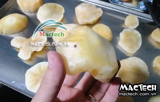 Sâm khoai có nên sấy thăng hoa không và tại sao lại như vậy