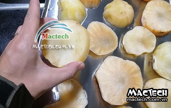 Sâm khoai có nên sấy thăng hoa không và tại sao lại như vậy