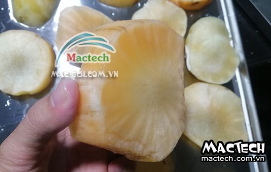 Sâm khoai sấy lâu khô là tại sao và hướng xử lý thế nào