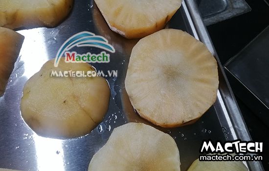 Sâm khoai sấy lâu khô là tại sao và hướng xử lý thế nào