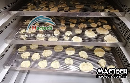 Sâm khoai sấy lâu khô là tại sao và hướng xử lý thế nào