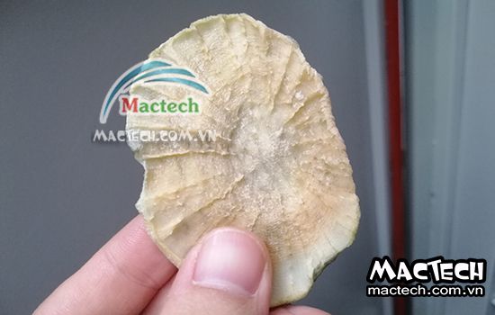 Sâm khoai sấy bị đen, hướng dẫn cách xử lý cụ thể