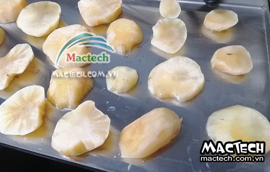 Sấy sâm khoai nên chọn loại máy sấy nào cho phù hợp và kinh tế