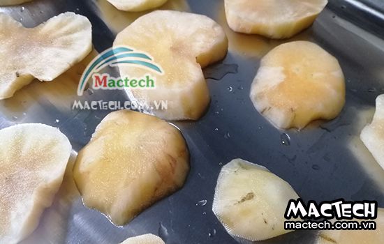 Sấy sâm khoai nên chọn loại máy sấy nào cho phù hợp và kinh tế