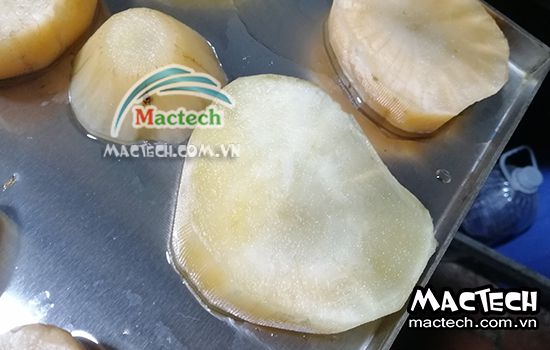 Nhiệt độ sấy sâm khoai bao nhiêu là phù hợp để khô nhanh