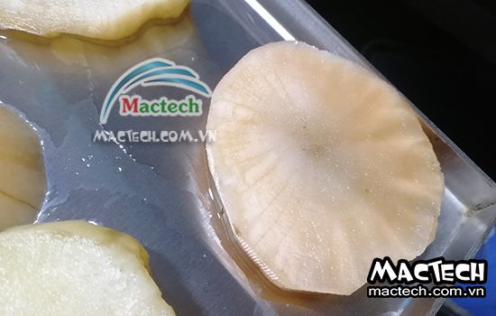 Nhiệt độ sấy sâm khoai bao nhiêu là phù hợp để khô nhanh