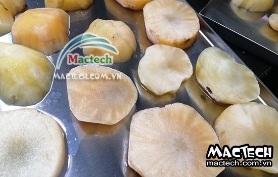 Nhiệt độ sấy sâm khoai bao nhiêu là phù hợp để khô nhanh