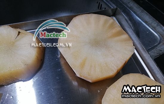 Thời gian sấy sâm khoai bao lâu thì khô hẳn, giải đáp từ Mactech