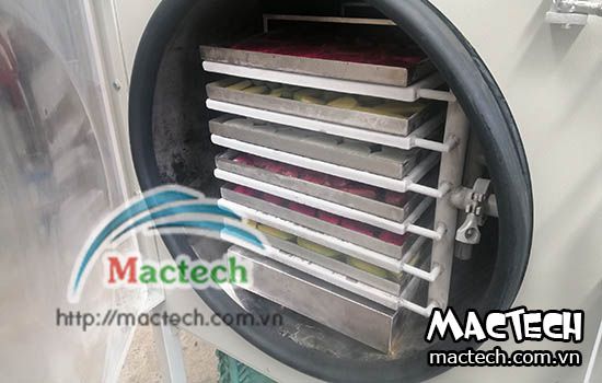 Máy sấy thăng hoa Mactech, sấy đông khô các sản phẩm cao cấp