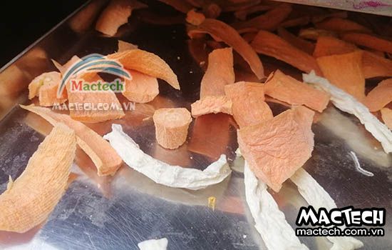 Máy sấy thăng hoa rau củ Mactech, sấy khô nghiền bột cao cấp