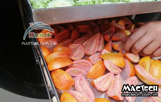 Máy sấy thăng hoa rau củ Mactech, sấy khô nghiền bột cao cấp