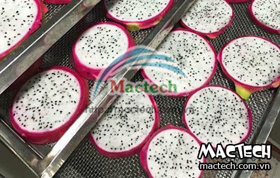 Máy sấy thanh long Mactech, sấy dẻo sấy khô cho chất lượng cao