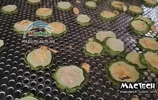 Máy sấy trà hoa quả Mactech