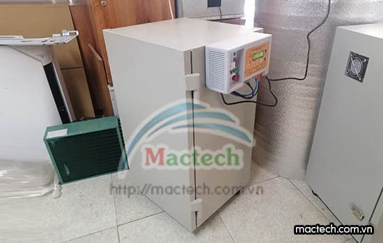 Máy sấy trái cây mini, hướng dẫn lựa chọn dòng máy sấy phù hợp