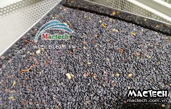 Vừng rang sấy không chín là tại sao? Cách khắc phục như thế nào