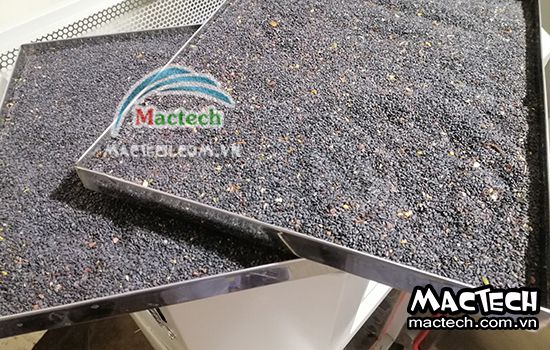 Vừng rang sấy không thơm, nguyên nhân và hướng xử lý