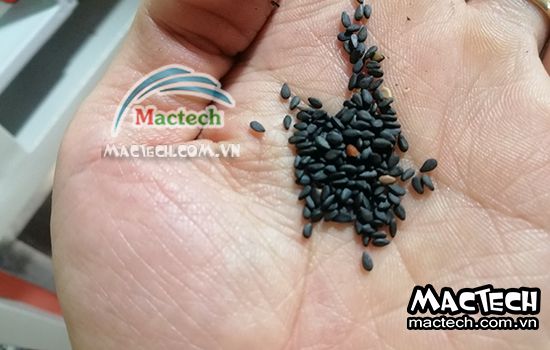 Hạt vừng sấy thăng hoa, có nên sấy thăng hoa đối với sản phẩm này
