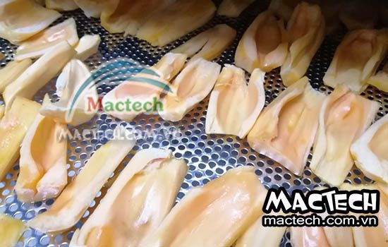 Mít sấy thăng hoa, sấy giòn xốp, giữ hương vị tự nhiên