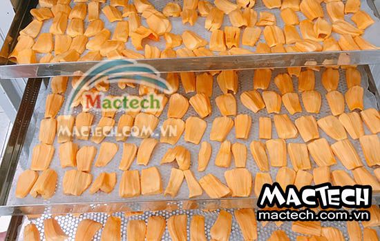 Nhiệt độ sấy mít dẻo và thời gian sấy mít dẻo phù hợp