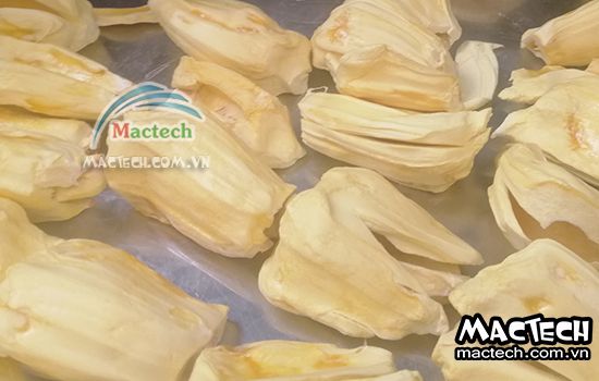 Máy sấy thăng hoa mít Mactech
